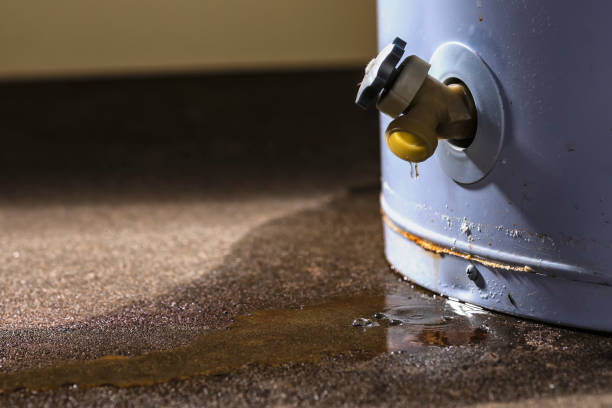 Best Mold removal after water damage  in Yorktown, TX