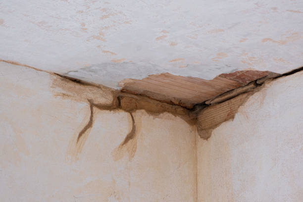 Best Water damage restoration experts  in Yorktown, TX