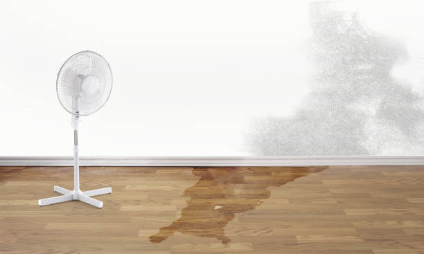  Yorktown, TX Water damage restoration Pros