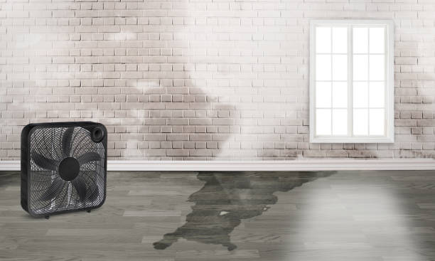 Best 24-hour water damage restoration  in Yorktown, TX
