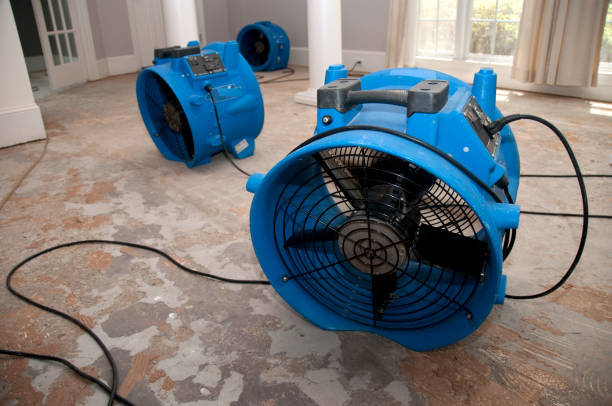 Best Carpet water damage restoration  in Yorktown, TX