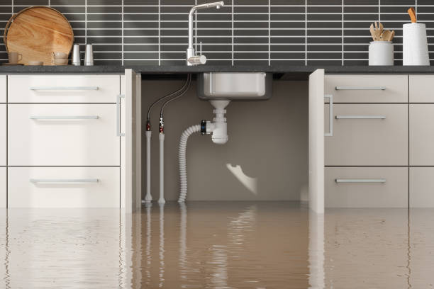 Best Emergency water extraction  in Yorktown, TX
